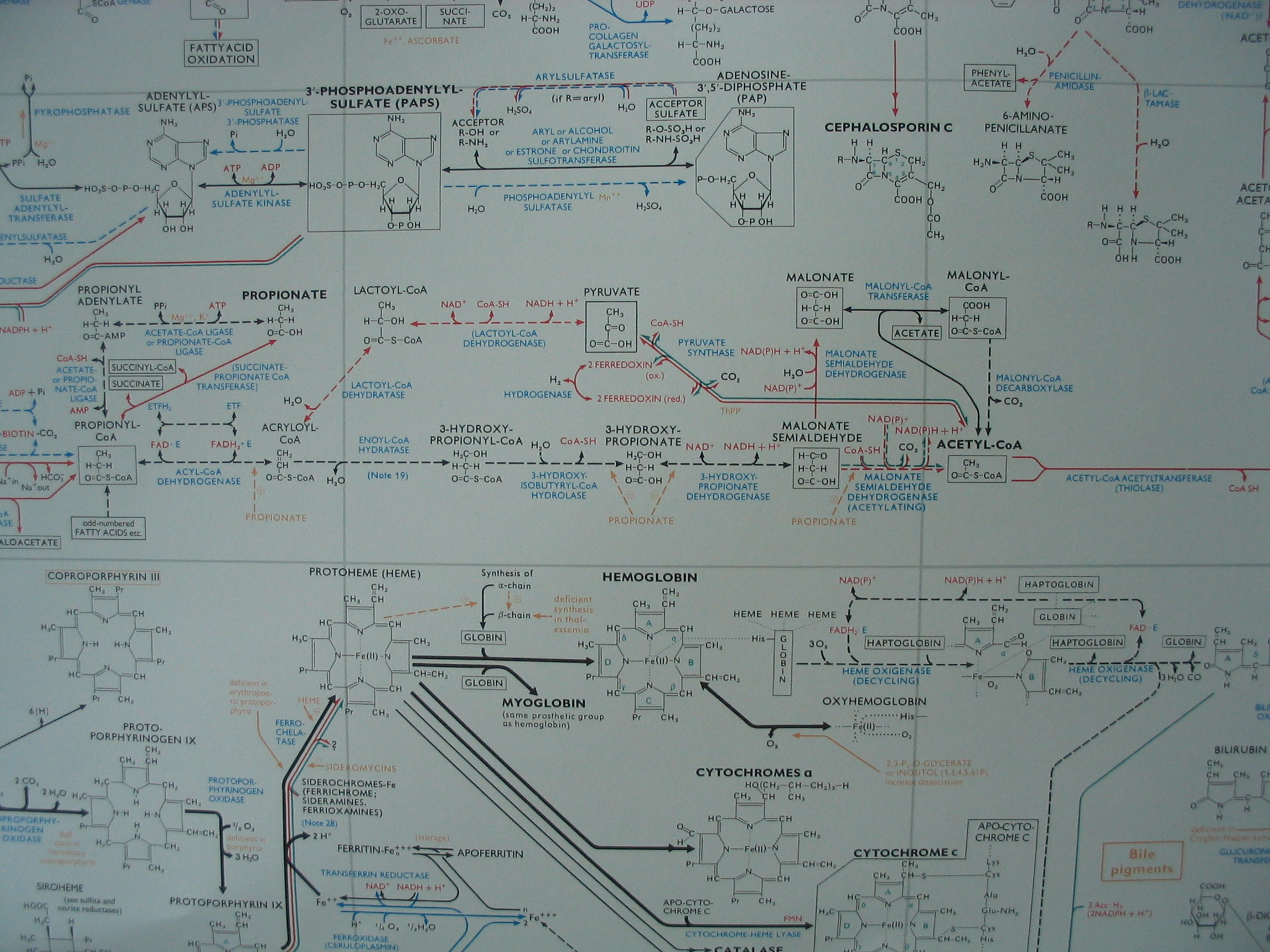 20070812-054.JPG