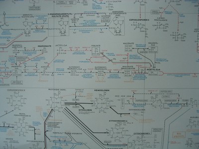 20070812-054.JPG
