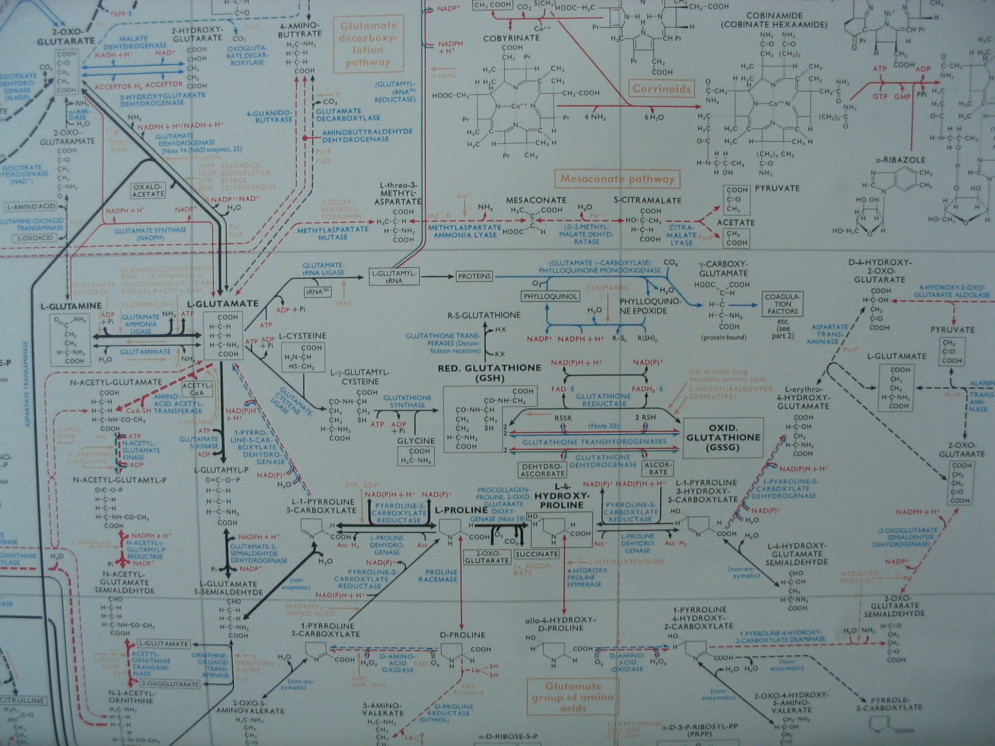 20070812-055.JPG