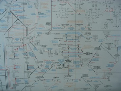20070812-055.JPG