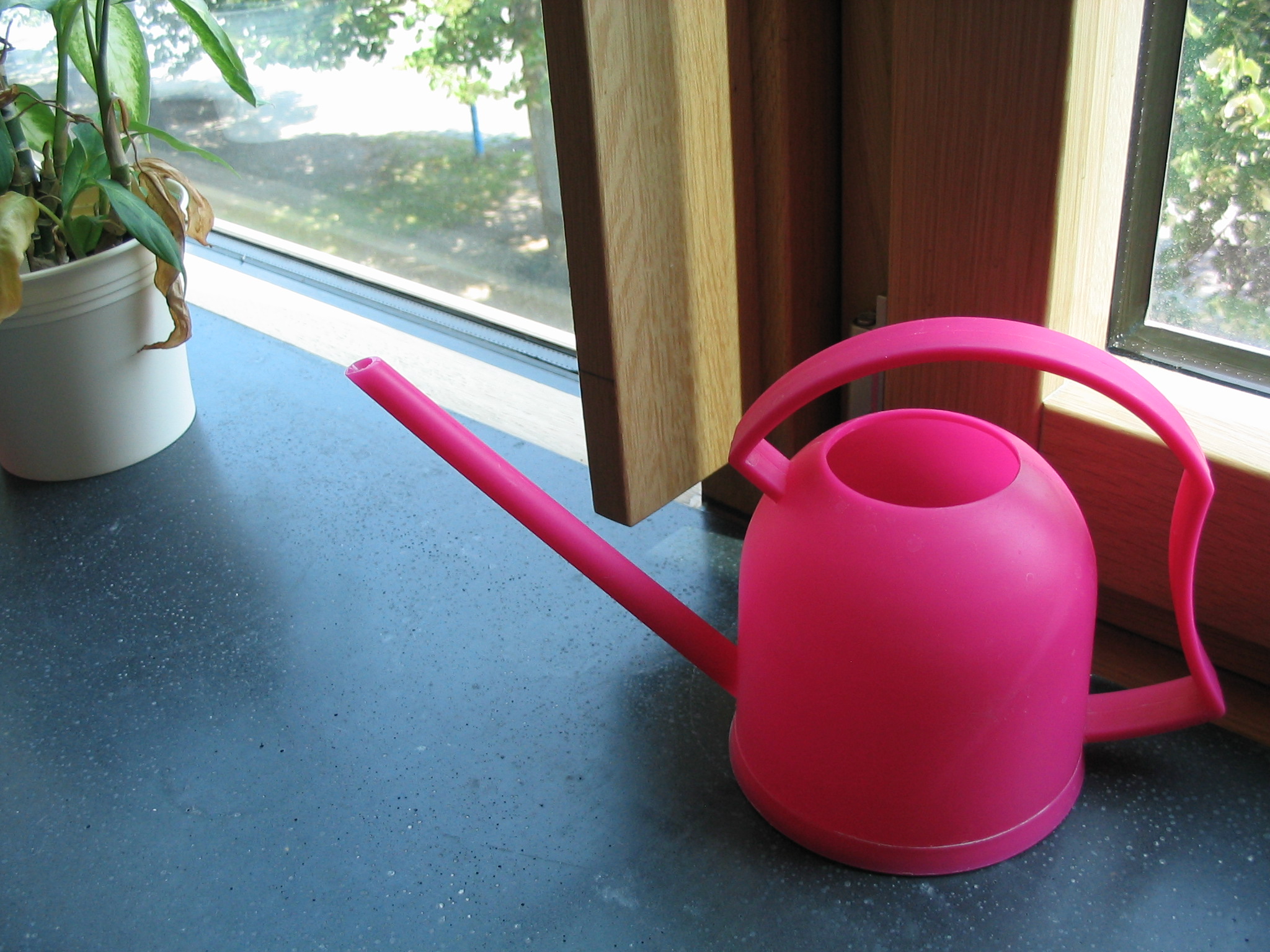 20070812-095.JPG