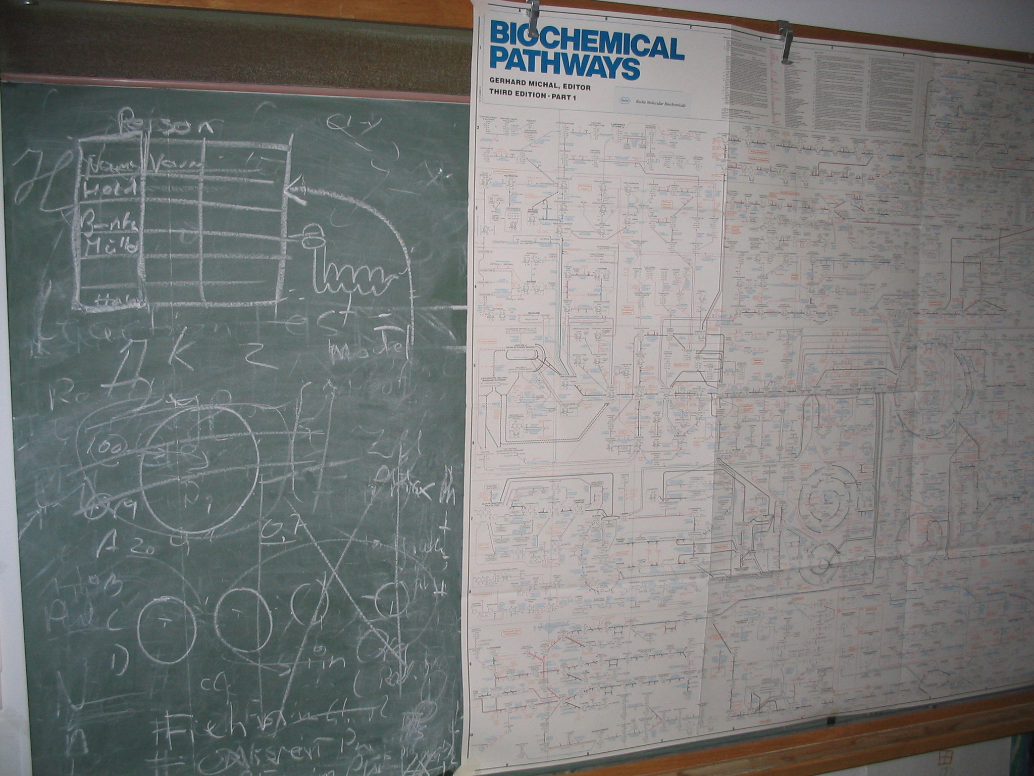 20070812-122.JPG