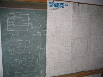 20070812-122.JPG