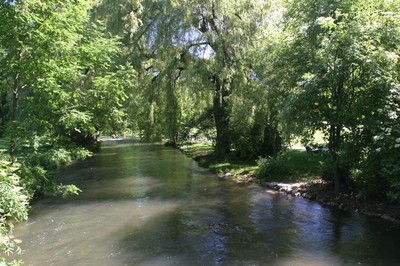 IMG_0057.JPG
