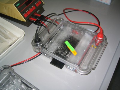 lab4