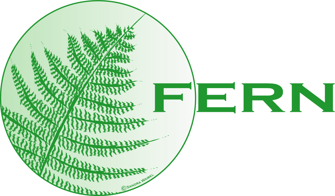 Image fern