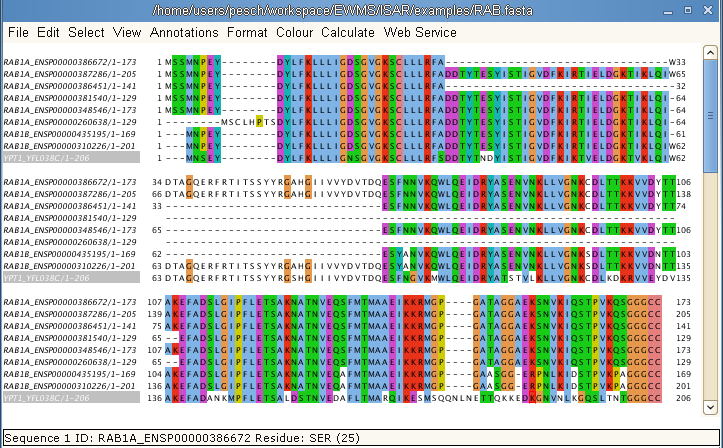 rab_fasta_jalview